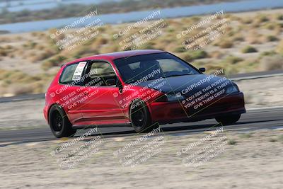 media/Oct-24-2025-Doghouse Garage (Fri) [[783d2ff07a]]/1-Advanced/Session 2 Turn 5 Tree of Life/